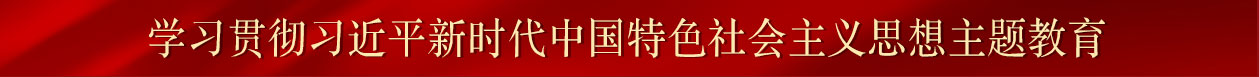 学习贯彻习近平新时代中国特色社会主义思想主题教育