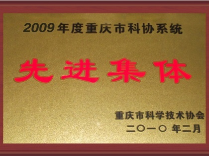 先进集体2009