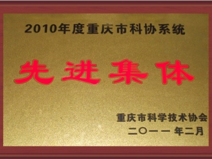 先进集体2010