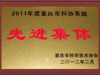先进集体2011