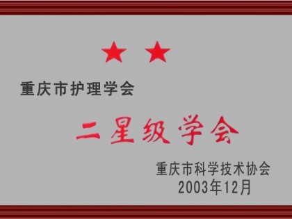 二星级学会